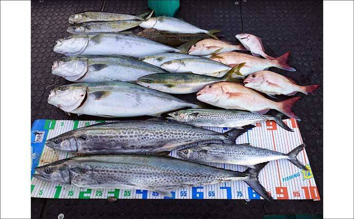 【沖のルアー釣果速報】志摩沖のトンジギで21.7kgタネトン浮上！（三重）