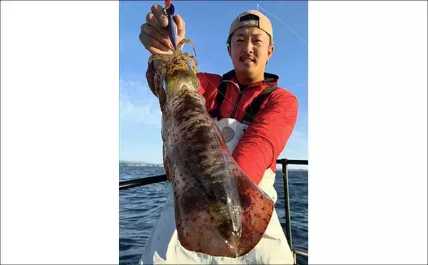 「【沖のルアー釣果速報】志摩沖のトンジギで21.7kgタネトン浮上！（三重）」の画像