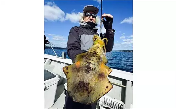 「【沖のルアー釣果速報】志摩沖のトンジギで21.7kgタネトン浮上！（三重）」の画像