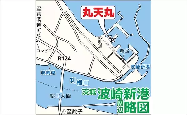 「船ヤリイカ釣りで40cm級ダブル連発！【茨城・波崎】多点掛けで数釣り気配」の画像