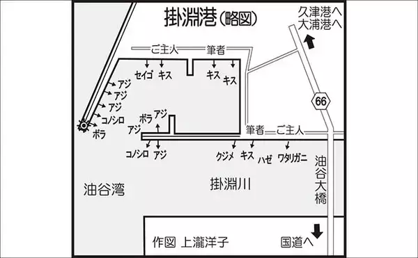 「山口の投げ釣り釣果レポート：22cm良型キス登場！【長門】ゲストにワタリガニに大型ハゼ」の画像