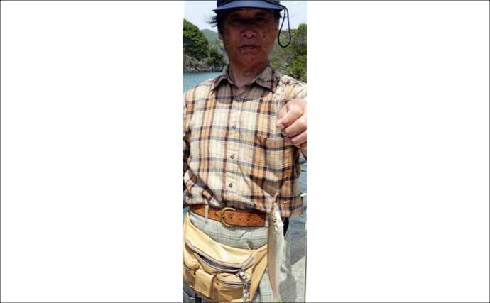山口の投げ釣り釣果レポート：22cm良型キス登場！【長門】ゲストにワタリガニに大型ハゼ