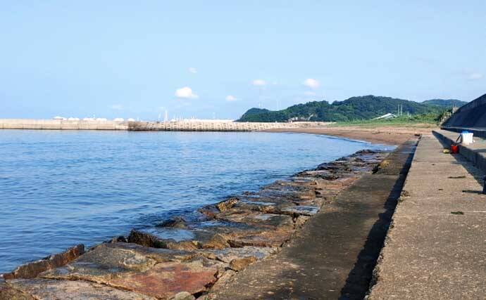 姫路大塩海岸でキス釣りが好調！お手軽「ライトキャストスタイル」で28匹手中【兵庫】