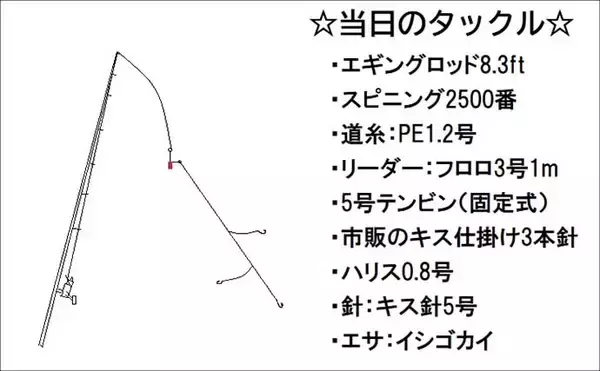 「姫路大塩海岸でキス釣りが好調！お手軽「ライトキャストスタイル」で28匹手中【兵庫】」の画像