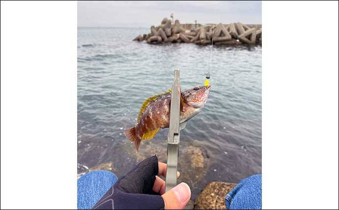 1g前後の『マイクロメタルジグ』活用術　フグやベラ対策にも効果的？