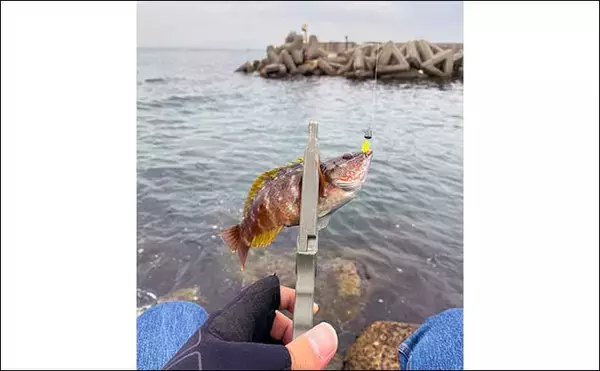 「1g前後の『マイクロメタルジグ』活用術　フグやベラ対策にも効果的？」の画像