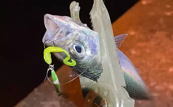 100均メタルジグにワームを付けると釣果がアップしたワケとは？