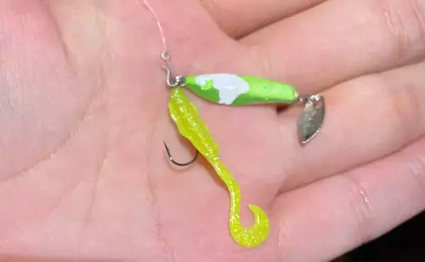 「100均メタルジグにワームを付けると釣果がアップしたワケとは？」の画像