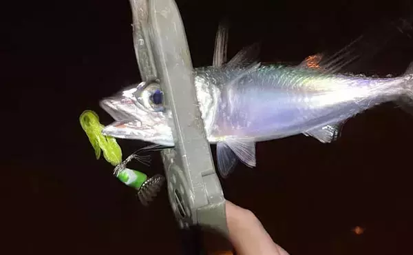 「100均メタルジグにワームを付けると釣果がアップしたワケとは？」の画像