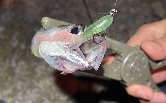 100均メタルジグにワームを付けると釣果がアップしたワケとは？