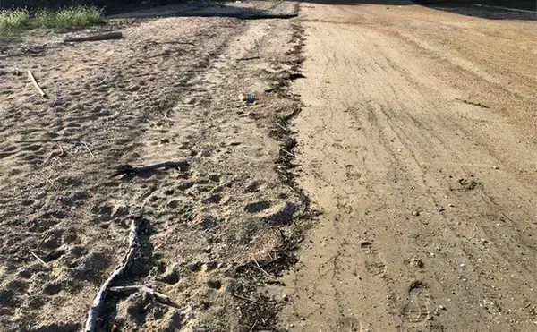「釣りの合間に【シーグラス探し】のススメ　やれば釣りの腕前も上がるかも？」の画像