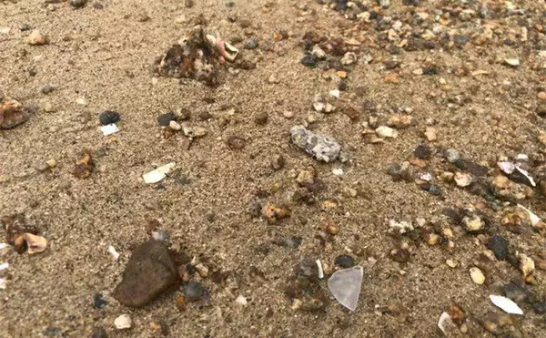 「釣りの合間に【シーグラス探し】のススメ　やれば釣りの腕前も上がるかも？」の画像