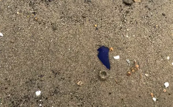 「釣りの合間に【シーグラス探し】のススメ　やれば釣りの腕前も上がるかも？」の画像