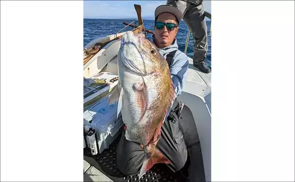 「【沖釣り釣果速報】中深海釣りで赤い宝石アカムツ確保！アマダイ＆オニカサゴも連発（北陸）」の画像