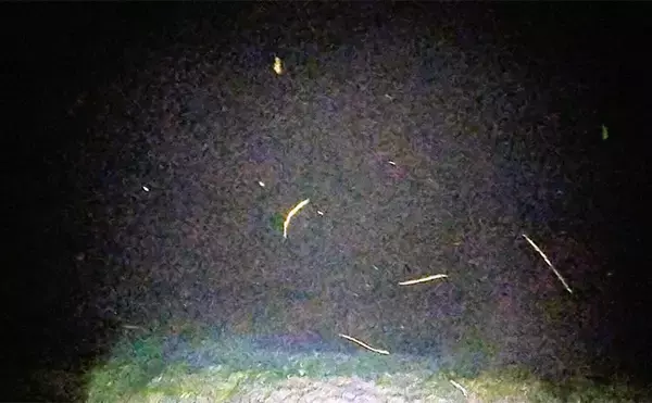 「バチ抜けが発生しやすい場所（河川）3選　シーバス用オススメルアーも紹介」の画像