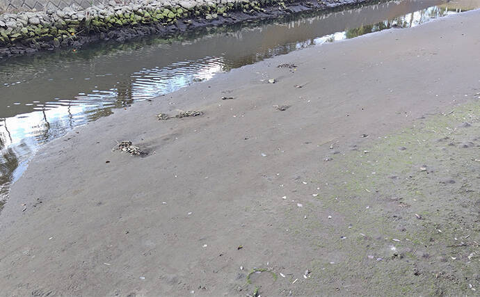 バチ抜けが発生しやすい場所（河川）3選　シーバス用オススメルアーも紹介