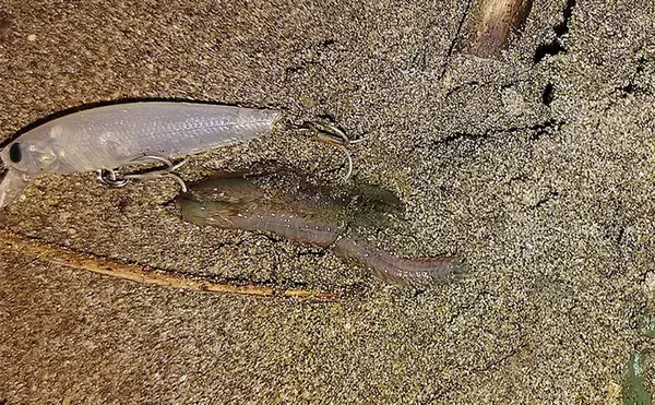 「バチ抜けが発生しやすい場所（河川）3選　シーバス用オススメルアーも紹介」の画像