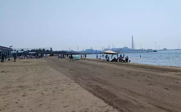 「「釣り人的思考」でアサリ大量確保に成功！ 秘訣はアサリと人の考えを読むこと？」の画像