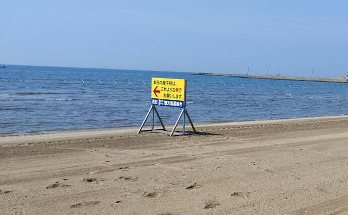 「釣り人的思考」でアサリ大量確保に成功！ 秘訣はアサリと人の考えを読むこと？