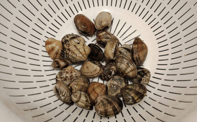 「釣り人的思考」でアサリ大量確保に成功！ 秘訣はアサリと人の考えを読むこと？