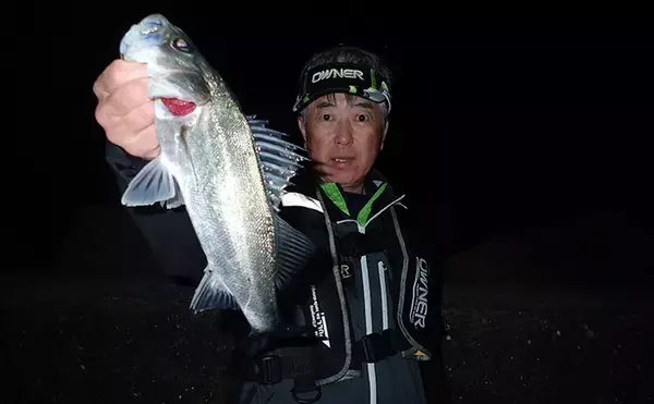 夜のスズキ釣りシーズンが到来　堤防での電気ウキ釣りでフッコ級を好捕【上天草】