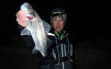 夜のスズキ釣りシーズンが到来　堤防での電気ウキ釣りでフッコ級を好捕【上天草】