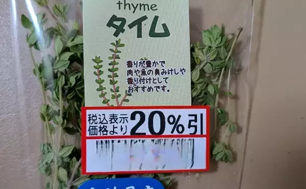 「マダコ釣り開幕！釣ったタコで作る絶品「アヒージョ」　下処理からレシピまで解説」の画像