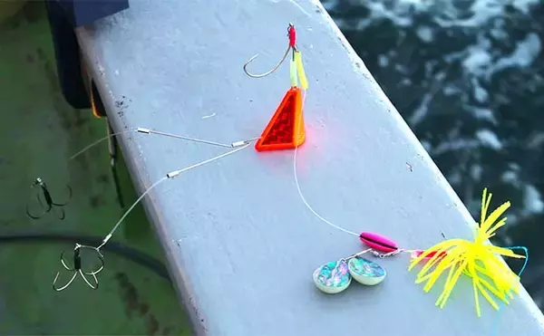 「伊勢湾のカットウフグ釣り徹底解説 【基本の釣り方〜釣果に差が出る応用技】」の画像