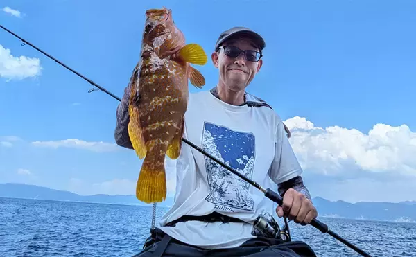 地磯ロックフィッシュゲームで30cm超えアコウを手中【福井】クリアイワシカラーにヒット