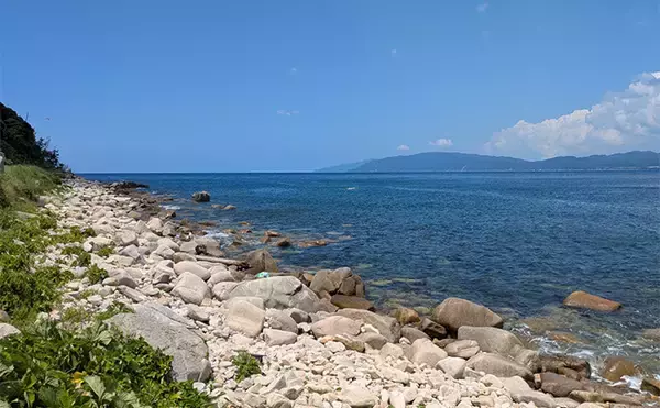 「地磯ロックフィッシュゲームで30cm超えアコウを手中【福井】クリアイワシカラーにヒット」の画像