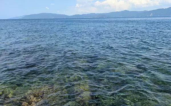 「地磯ロックフィッシュゲームで30cm超えアコウを手中【福井】クリアイワシカラーにヒット」の画像