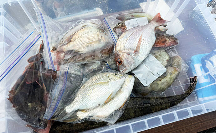 「釣りで豪雨災害からの復興を支援！」第4回上天草パールライン釣り大会が10月25日に開催【熊本】