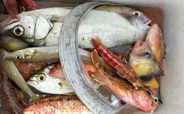 「「釣りで豪雨災害からの復興を支援！」第4回上天草パールライン釣り大会が10月25日に開催【熊本】」の画像