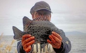 東伊豆・大難の石物釣りで1kg級イシガキダイをキャッチ【静岡】サザエにヒット