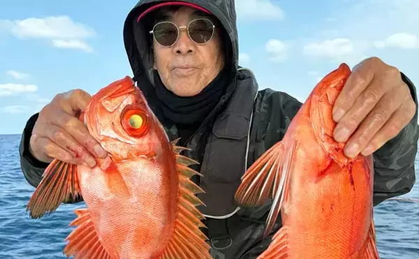 良型チカメキントキでクーラー満タン！沖五目釣りが好調キープ【船釣り最新情報・福岡】
