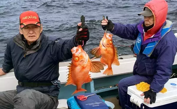 「良型チカメキントキでクーラー満タン！沖五目釣りが好調キープ【船釣り最新情報・福岡】」の画像