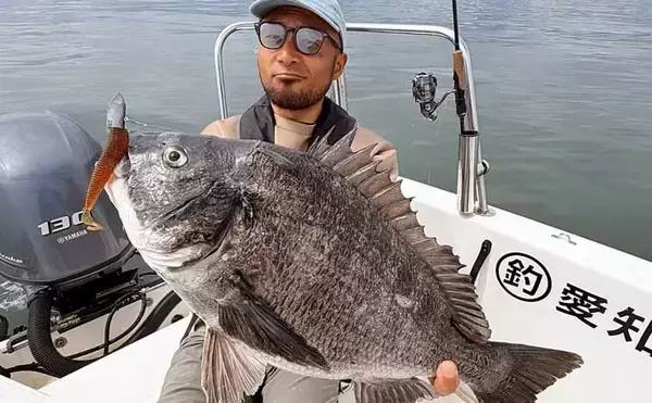 ボトムワインドで良型クロダイにマゴチが好反応中！【オフショアルアー釣果8選・愛知】