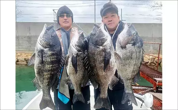 「ボトムワインドで良型クロダイにマゴチが好反応中！【オフショアルアー釣果8選・愛知】」の画像