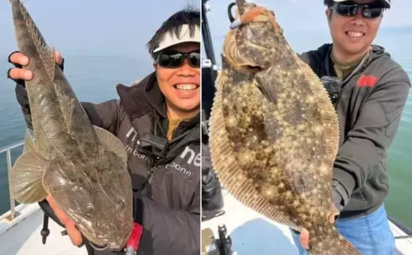 「ボトムワインドで良型クロダイにマゴチが好反応中！【オフショアルアー釣果8選・愛知】」の画像