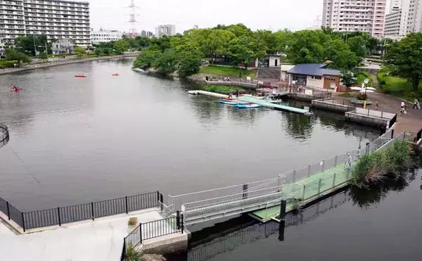 「「新左近川親水公園」でテナガエビ釣り調査【東京】ヘチの石周りで18尾と対面」の画像
