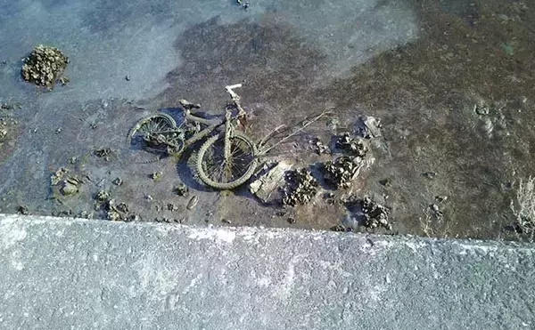 「シーバス釣りの好ポイント『干潟』の重要性　水の浄化作用も？」の画像