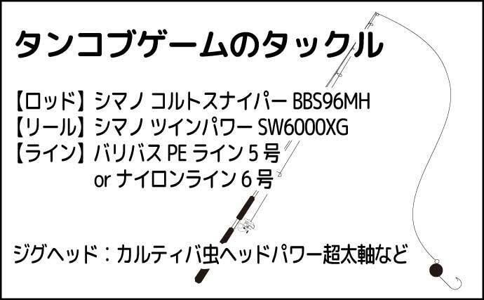 堤防最重量級魚『コブダイ』をエビとジグヘッドで釣る方法　【タックル・時期・釣り方】