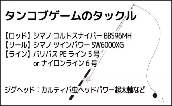 「堤防最重量級魚『コブダイ』をエビとジグヘッドで釣る方法　【タックル・時期・釣り方】」の画像