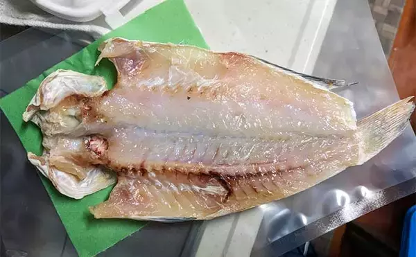 「釣ったシロアマダイで作る絶品レシピ5選　シンプルな調理法がオススメ」の画像