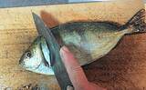 「釣魚で作る「酒の肴」レシピ：バリ（アイゴ）の細切り　強めに焼く【やっきり】が基本」の画像2