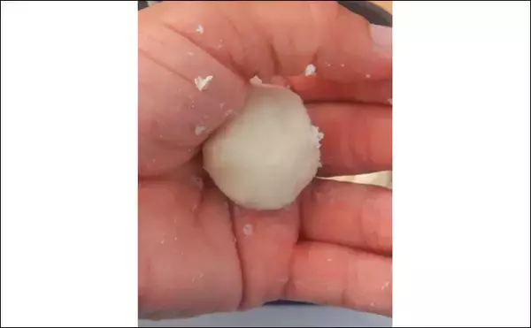 「1泊2日で大型ハクレンを狙う【茨城・常陸利根川】メーター超え本命と嬉しい対面！」の画像