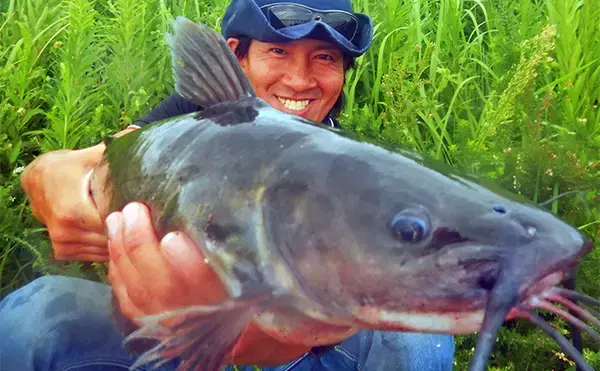 「1泊2日で大型ハクレンを狙う【茨城・常陸利根川】メーター超え本命と嬉しい対面！」の画像