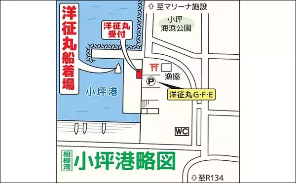 「相模湾の沖五目釣りでアジ11～39尾に2.4kgマダイ手中【洋征丸】カンパチ・マハタ・クロムツも登場」の画像
