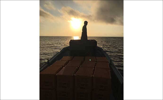 伊是名島で出会った正真正銘の「海人」の話　アオリイカともずくが繋いだ冬の記憶