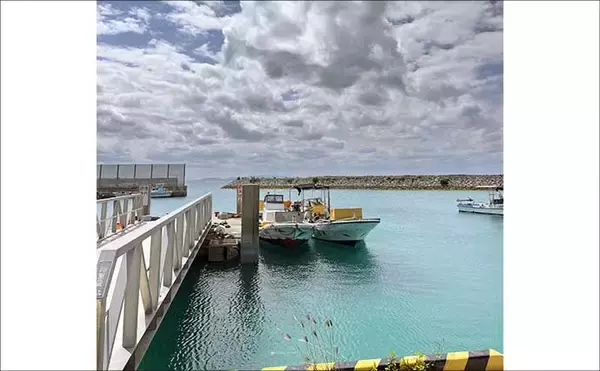 「伊是名島で出会った正真正銘の「海人」の話　アオリイカともずくが繋いだ冬の記憶」の画像